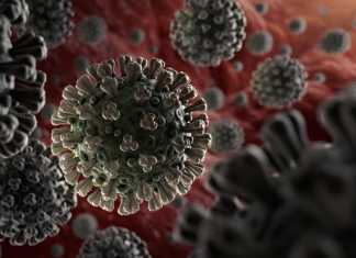 Coronavirus Disease