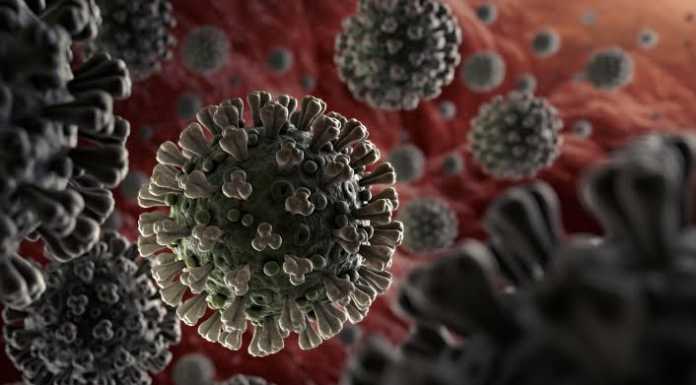 Coronavirus Disease