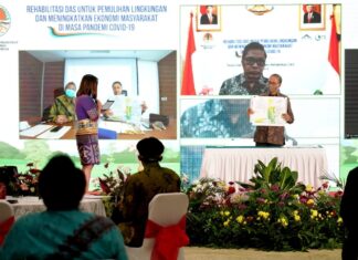 Wamen LHK memimpin Diskusi Webinar dalam Pembahasan Manfaat DAS kepada Masyarakat sekitar