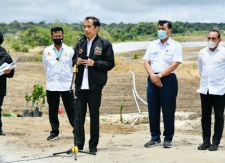 Presiden Joko Widodo meninjau perkembangan pembangunan kawasan lumbung pangan (food estate).