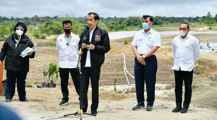Presiden Joko Widodo meninjau perkembangan pembangunan kawasan lumbung pangan (food estate).